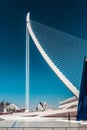 Vertical shot of the modern Calatrava Valencia Oceanarium building design