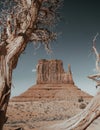 Vertical shot of the Monument Valley in Oljato-Monument, USA Royalty Free Stock Photo