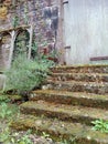 Vertical shot of moss covered stairs leading to a garden during daytime Royalty Free Stock Photo