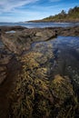 Vertical shot of a mossy rocky coastline