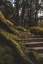 Vertical shot of mossy stairs in a park in Tai