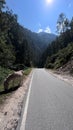 Vertical shot of a mule grazing on a sidewalk of an asphalt road in mountains