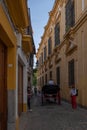 Vertical shot of a narrow beautiful street with people and a carriage Cordoba city, Andalusia, Spain