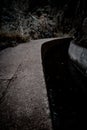 Vertical shot of narrow water area by concrete sidewalk winding in the park Royalty Free Stock Photo