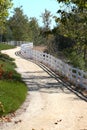 Vertical shot of narrow winding path in green fenced garden