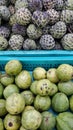 Vertical shot of newly harvested guava and sugar apple fruits on separate trays