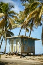 Vertical shot of an old beach house with palm trees Royalty Free Stock Photo