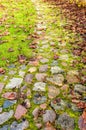 Vertical shot of old cobblestones on the ground in a park under the sunlight Royalty Free Stock Photo