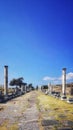 Vertical shot of old columns in the middle of a field Royalty Free Stock Photo