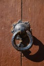 Vertical shot of an old door knocker Royalty Free Stock Photo