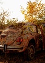 Vertical shot of an old rusted Volkswagen beetle painted with peace symbols and quotes