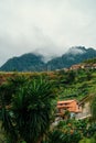 Vertical shot of an old town on the green hillside on the Madeira Island bay - Portugal