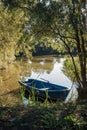 Vertical shot of an old wooden boat on a river in the woods - nostalgic scene