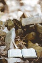 Vertical shot of an open bible on the ground with blurred broken trees in the background Royalty Free Stock Photo
