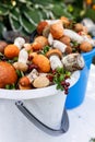 Vertical shot orange cap boletus mushrooms and lingonberry in buckets. Collecting wild mushrooms and berries in the forest