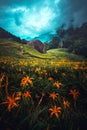 Vertical shot of the orange lily field and a cloudy dark sky Royalty Free Stock Photo