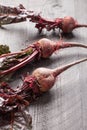 Vertical shot of organic beets Royalty Free Stock Photo