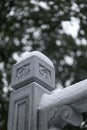 Vertical shot of an ornamented stone fencing covered in snow on the blurred background Royalty Free Stock Photo