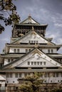 Vertical shot of the Osaka Castle in Japan