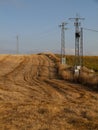 Vertical shot of overhead power lines in the grain field in the countryside Royalty Free Stock Photo