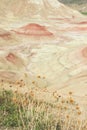 Vertical shot of the Painted Hills, John Day Fossil Beds National Monument Royalty Free Stock Photo