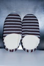 Vertical shot of a pair of striped warm slippers