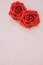 Vertical shot of a pair of vibrant red roses on a smooth pink background with copy spa