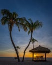 Vertical shot of palm trees and a pavilion on the beach with a golden sunset in the background Royalty Free Stock Photo