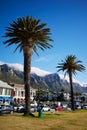 Vertical shot of palms with Twelve Apostles mountain range and houses in South Africa, Cape Town