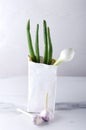 Vertical shot.Paper bag with grocery shopping.Spring green onions and garlic Royalty Free Stock Photo
