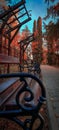 Vertical shot of a park with wooden benches and colorful fall trees during sunset Royalty Free Stock Photo