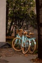 Vertical shot of the parked blue bicycles at the side of a road