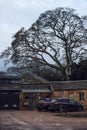 Vertical shot of parked cars in front of small stone buildings next to tall trees in Harrogate