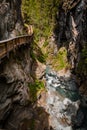 Vertical shot of path in Gorner Gorge with river