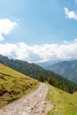 Vertical shot of a path in the mountains of Mercantour national parc in France