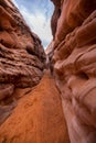 Vertical shot of a pathway in the desert at sunrise at Valley of Fire
