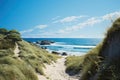 Vertical shot of a pathway leading to the beach at the ocean shore Royalty Free Stock Photo