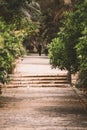 Vertical shot of a pathway with stairs in the garden with trees and flowers around Royalty Free Stock Photo