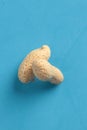 Vertical shot of peanuts with shells isolated on a blue background Royalty Free Stock Photo