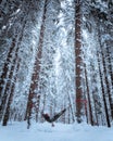 Vertical shot of a person enjoying the snow while swinging in a hammock in a forest