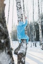 Vertical shot of a person in a fluffy blue costume climbing a bare birch tree in a forest in winter Royalty Free Stock Photo