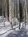 Vertical shot of a person skiing on hills covered in the snow in Aspen, Colorado Royalty Free Stock Photo