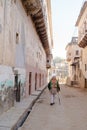 Vertical shot of a person walking along the dusty street of Mandawa haveli, Rajasthan India