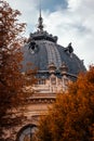 Vertical shot of the Petit Palace in Paris, France