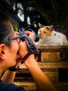 Vertical shot of a photographer taking closeup pictures of a cute laying stray cat