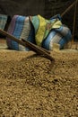 Vertical shot of a pile of coffee beans in the stock