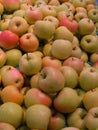 Vertical shot of a pile of multicolored green red apples at a market
