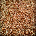 Vertical shot of a pile of organic mustard seeds