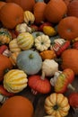 Vertical shot of a pile of pumpkins and gourds on a wooden table