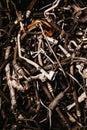 Vertical shot of a pile of rusty old metals